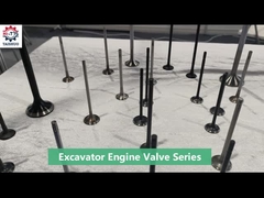 Van xả đầu vào động cơ 191-6760 1916760 266-8718 2668718 3508 Van động cơ