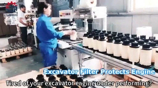 Các yếu tố lọc máy đào