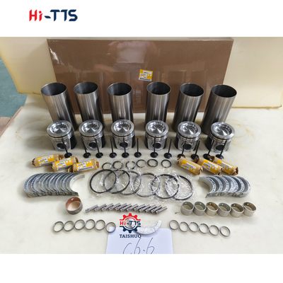 C6.6 Bộ sửa chữa động cơ máy đào máy kéo 3135M141 124-3536 276-7677