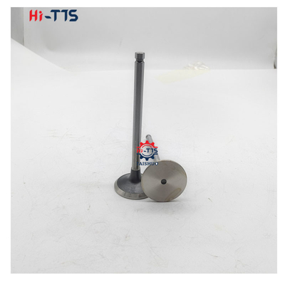 6BT 4BT Máy diesel phụ tùng van nhấp 3901117 3920867 3920868