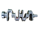 Excavator Engine Parts 4TNV94 Crankshaft 129902-21000 YM129902-21000