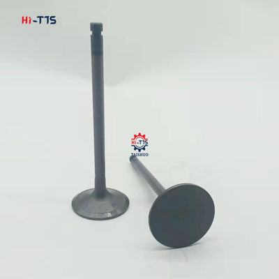 Giá tốt Bộ phận Diesel Van động cơ Van đầu vào S6K 36704-00400 5I8011 trực tuyến